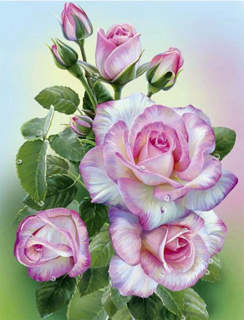 Pink Rose - Diamond Art