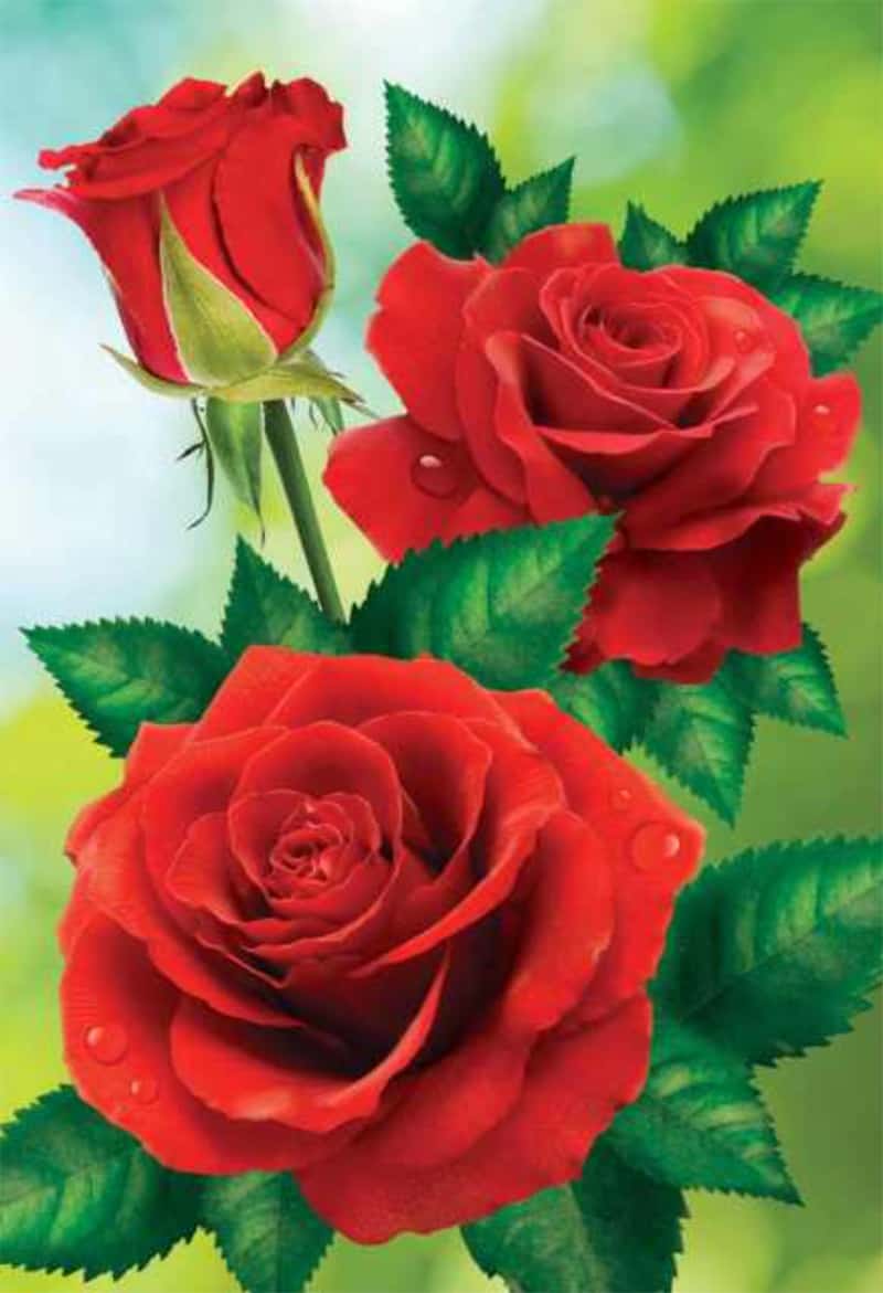 Red Roses - Diamond Art